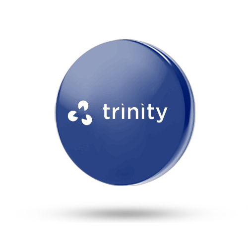 Интеграция с ТИС Trinity
